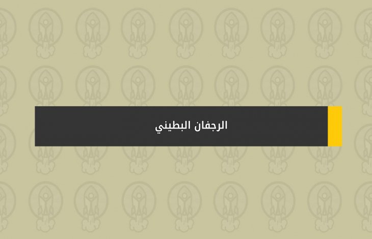 الرجفان البطيني