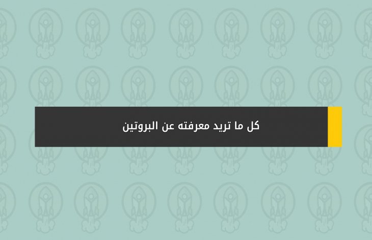 كل ما تريد معرفته عن البروتين