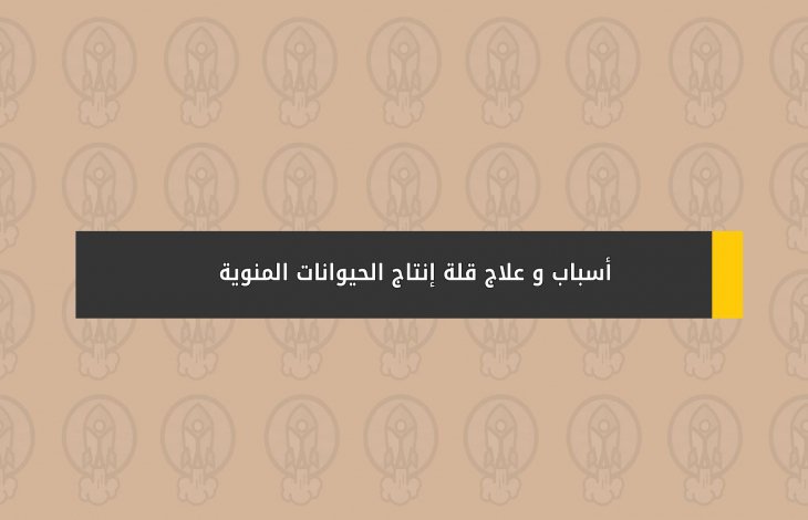 أسباب و علاج قلة إنتاج الحيوانات المنوية