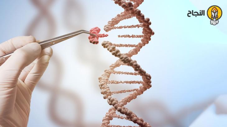 ما هي الأمراض الوراثيّة، وماهي أنواعها، وكيف تحدث؟ 