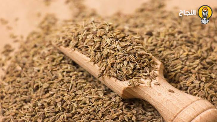 اليانسون وفوائده العظيمة