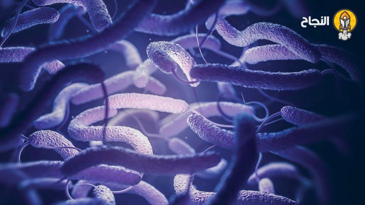 الكوليرا – أسبابها – أعراضها – طرق الوقاية