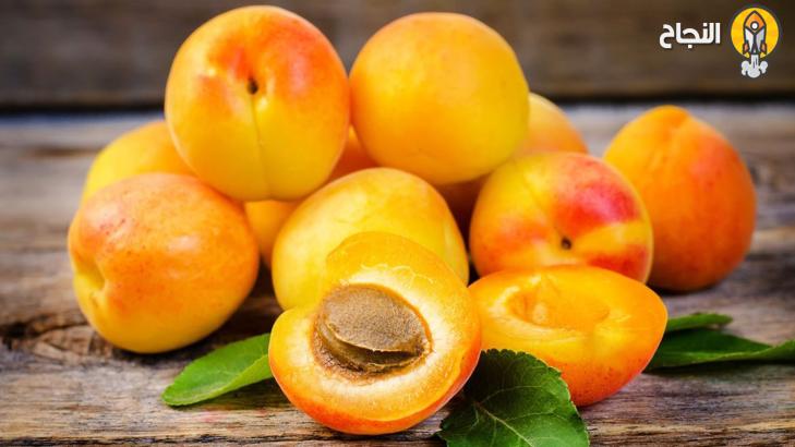 11 فائدة صحية للمشمش تعرف عليها