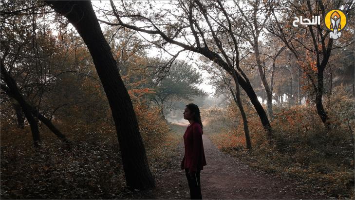 كيف تضيء طريقك في غابة من الخوف؟