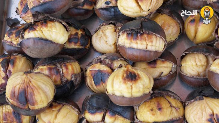 6 أطعمة شتوية تمنح الطاقة خلال فصل الشتاء