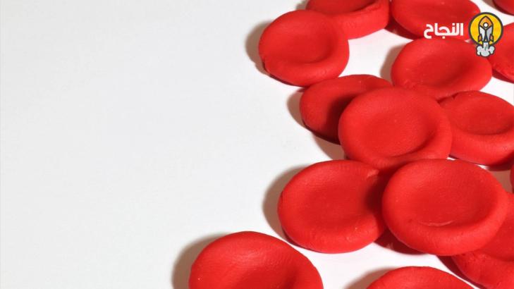 فقر الدم الانحلالي: الأسباب والأعراض والعلاج