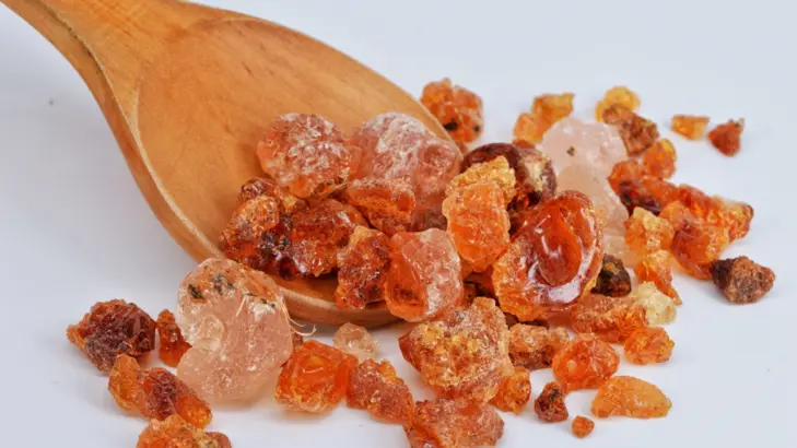 صمغ العنزروت: فوائده، واستخداماته، وأسراره للصحة والعظام