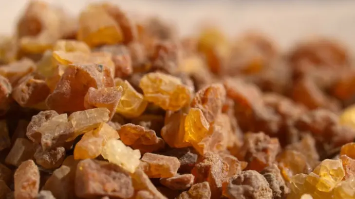 عشبة المر: أنواعها، وأفضلها، وأسماؤها، وفوائدها