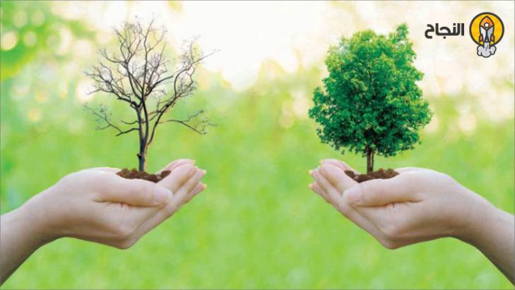 الهرم البيئي: التعريف والأنواع والأمثلة