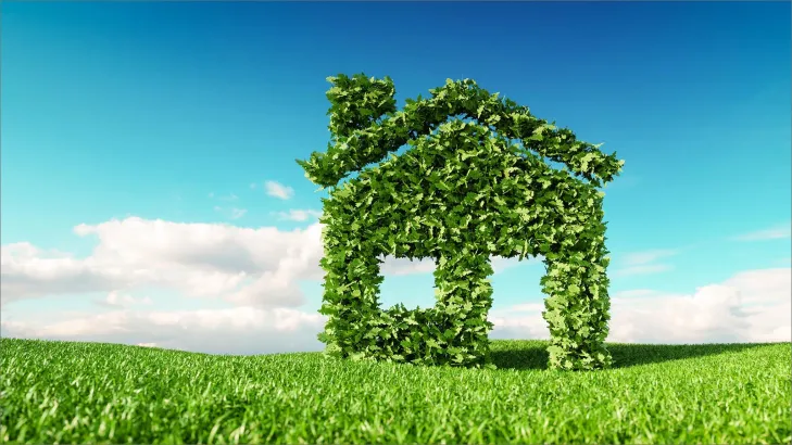 عيش أخضر: دليل شامل لتبني نمط حياة مستدام وصديق للبيئة