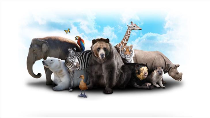 الحيوانات المنقرضة والمهددة بالانقراض