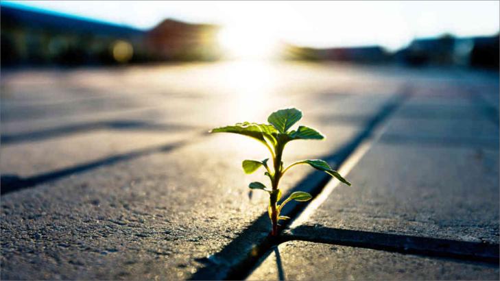 4 استراتيجيات للحفاظ على الدوافع على الرغم من المِحَن