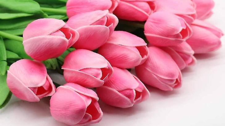 أجمل الزهور الطبيعية في العالم وفوائدها