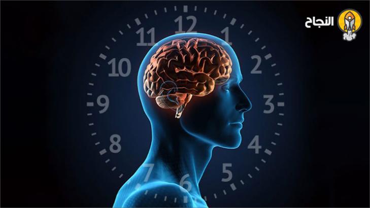 ما هو إيقاع الساعة البيولوجية؟ وكيف تستعيده لإبقاء عقلك متقداً؟ - (2)