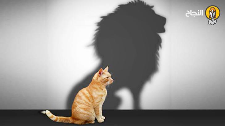 7 طرق بسيطة تجعل منك شخصاً شجاعاً