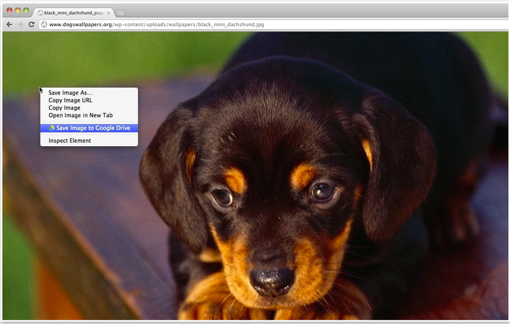حفظ الأشياء للرجوع إليها لاحقاً باستخدام Google Drive