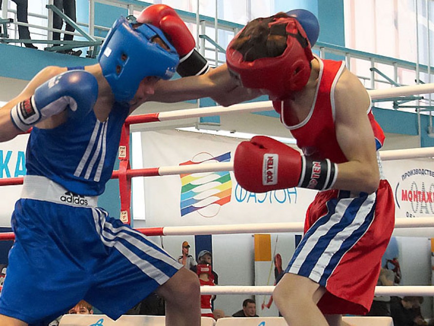 مهرجان الملاكمة الحرة في روسيا